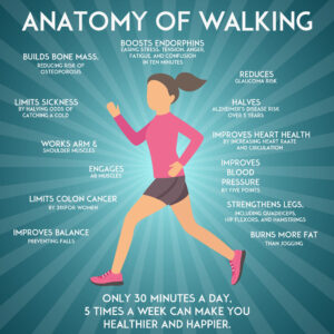 The Top Health Benefits of Walking -Nutrition Breakthroughs