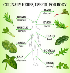 A Medicine Cabinet of Healing Herbs and Spices -Nutrition Breakthroughs