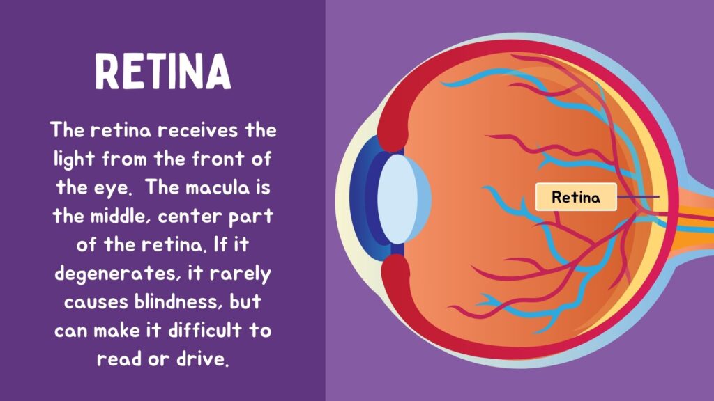 macular degeneration